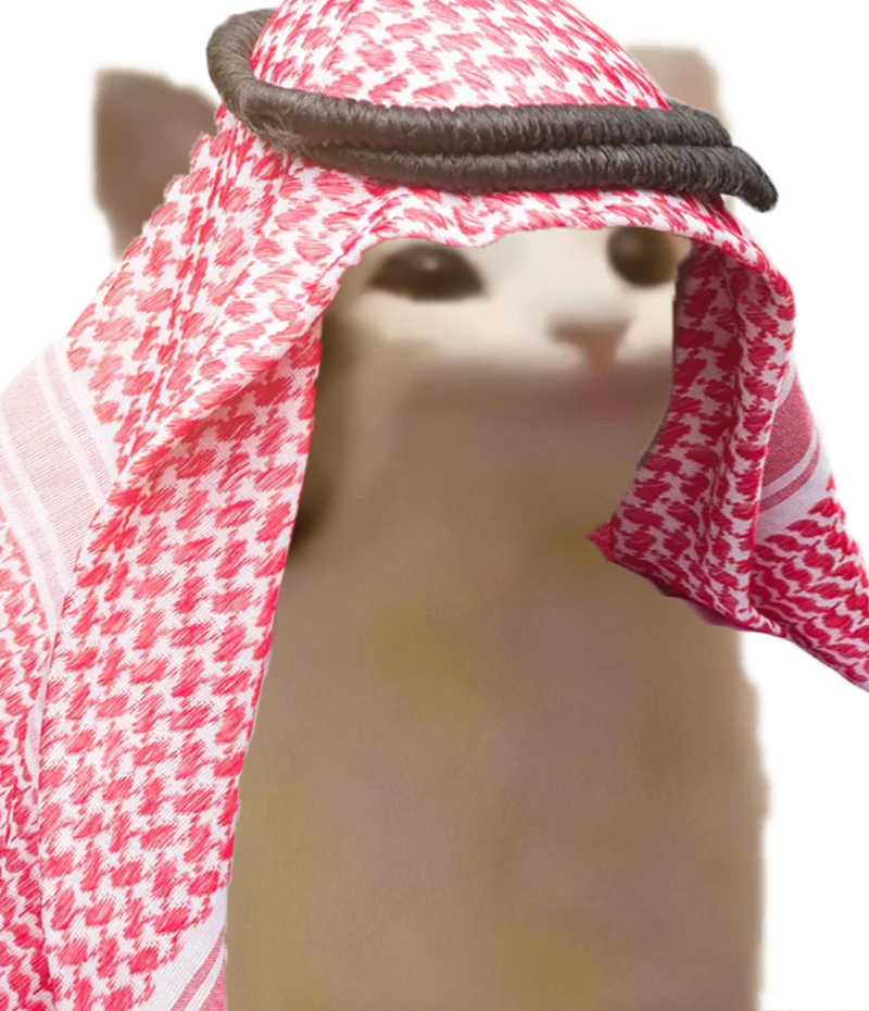 Image A